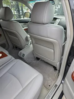 Lexus RX 330 2006 Black