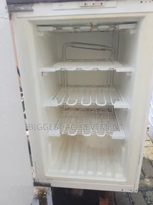 Standing Freezer