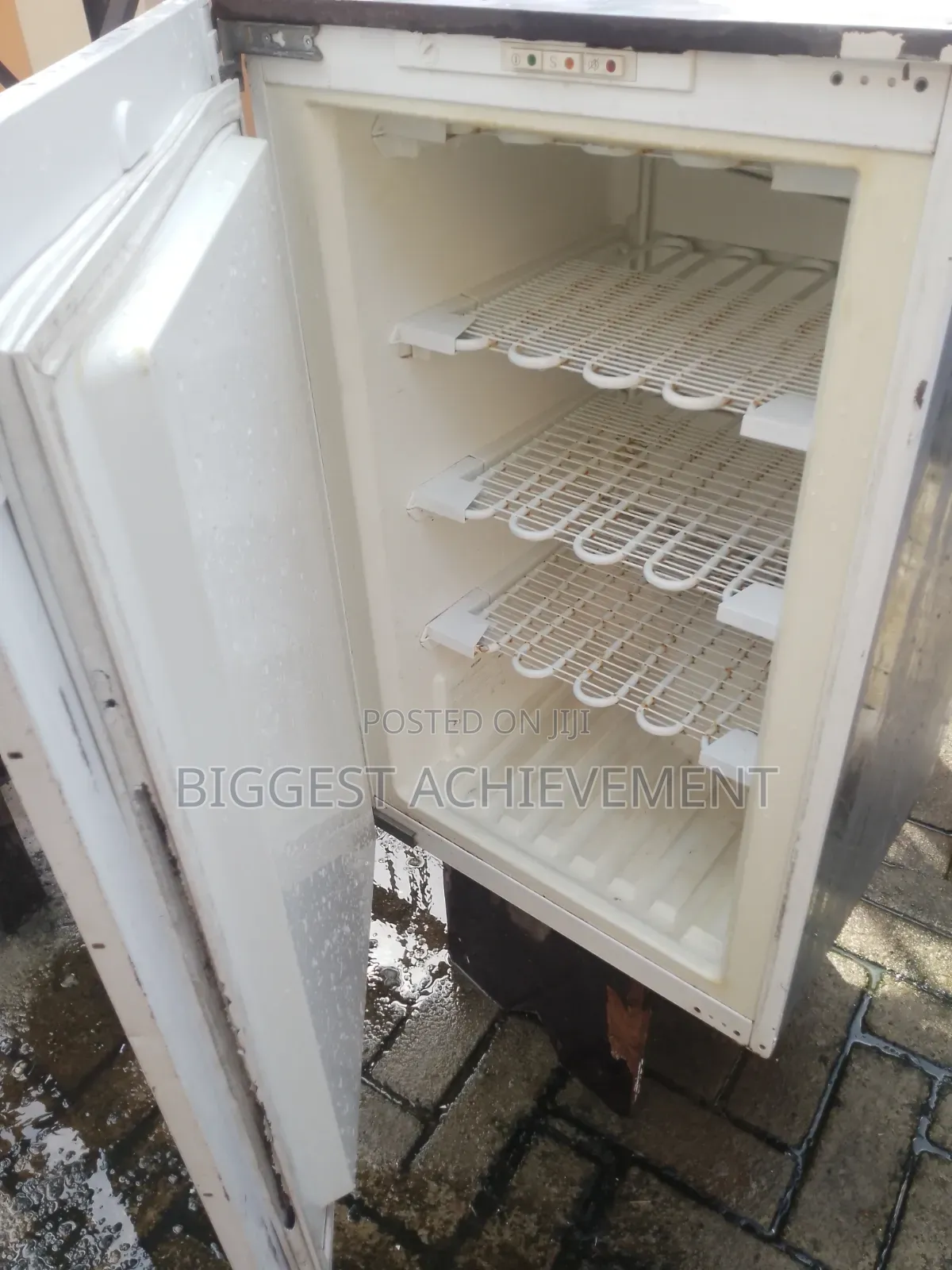 Standing Freezer