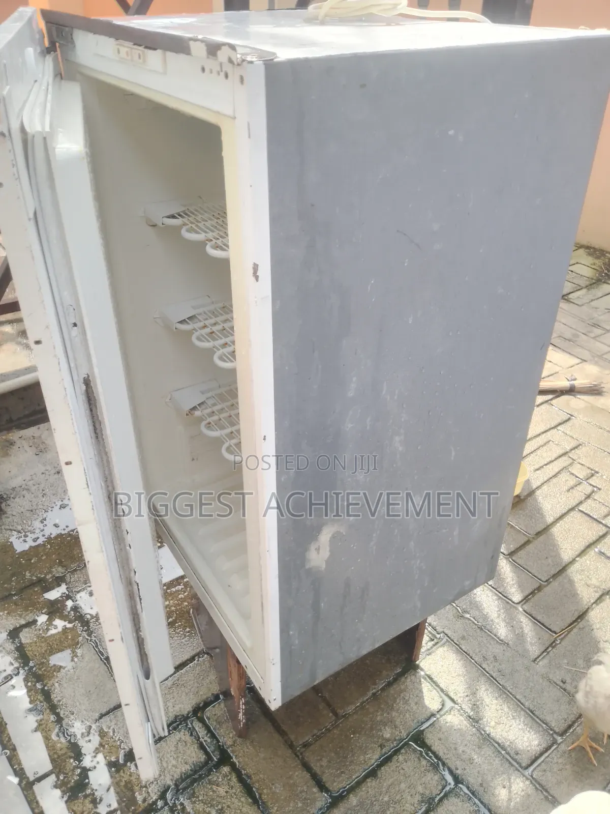 Standing Freezer