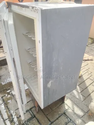 Standing Freezer