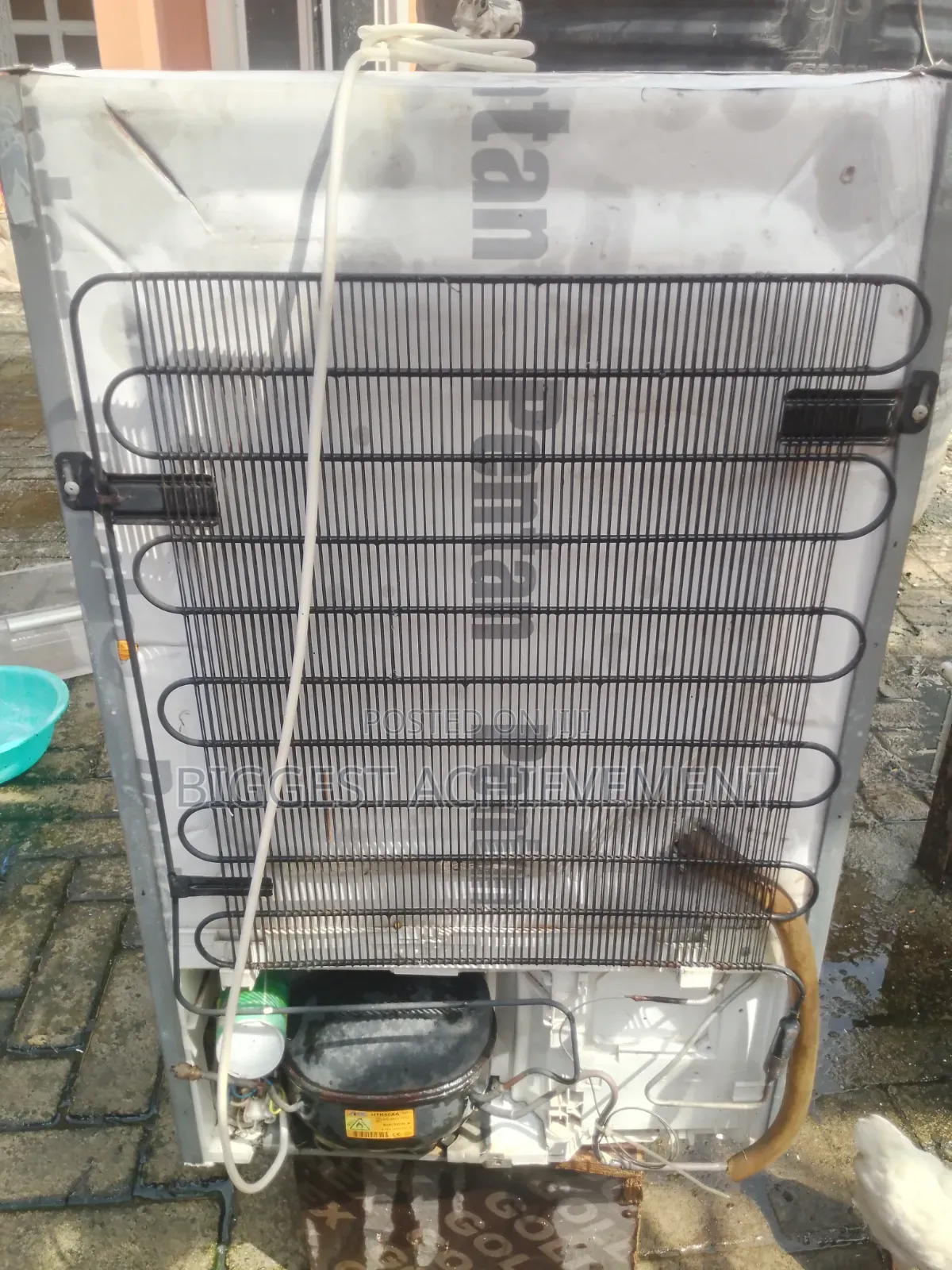 Standing Freezer