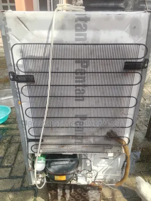 Standing Freezer