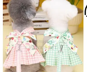 Sleeveless Pet Dress With Lead(d 6)