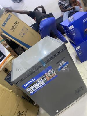 SKYRUN BD-100HNW Compact Freezer for Frozen Meat