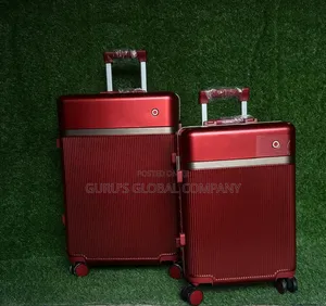 Beautiful Imported IT Luggage Bag