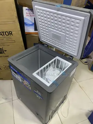 SKYRUN BD-100HNW 100L Freezer With Power Status Indicator