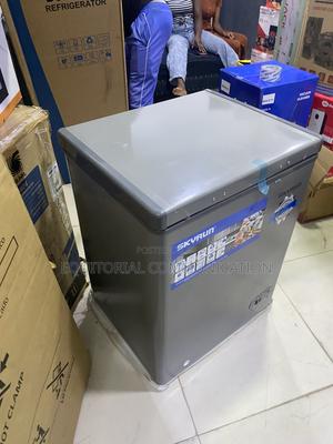 Skyrun 100-Litre Freezer for Household Food Preservation