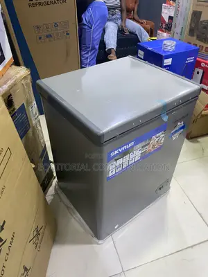 Skyrun 100-Litre Freezer for Household Food Preservation