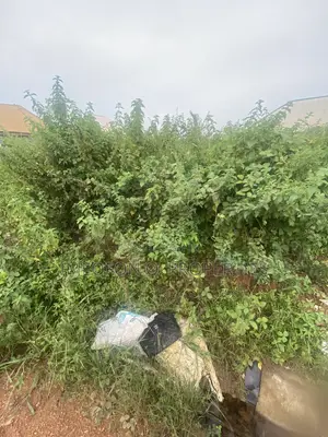 Estate Land for Sale