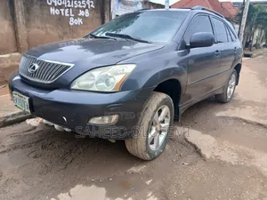 Lexus RX 330 2005 Gray