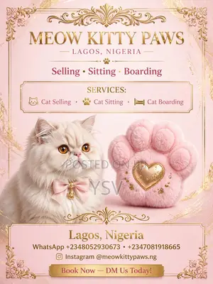 Meow Kitty Paws Cat Sitting, Boarding and Selling Services.
