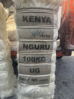 Nguru Kenya Fillas