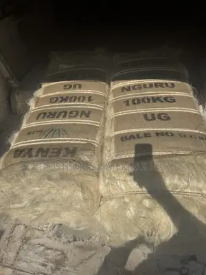 Nguru Kenya Fillas