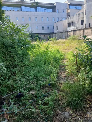 For Sale Size: 950 SQM Mix-Use Land Location: Victoria Island,