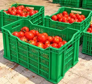 Bread and Tomatoes Baskets