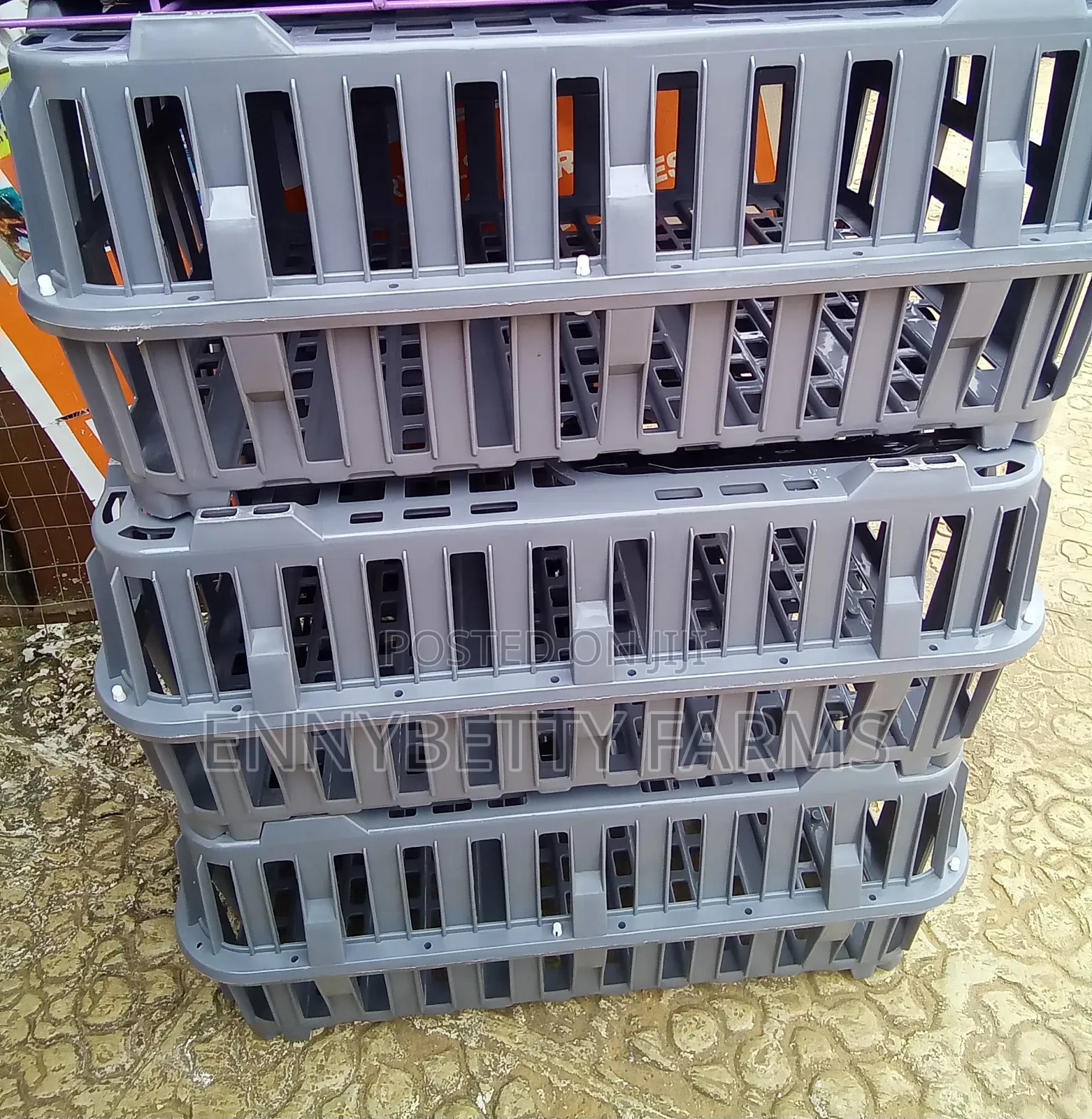 Plastic Chicken Cages