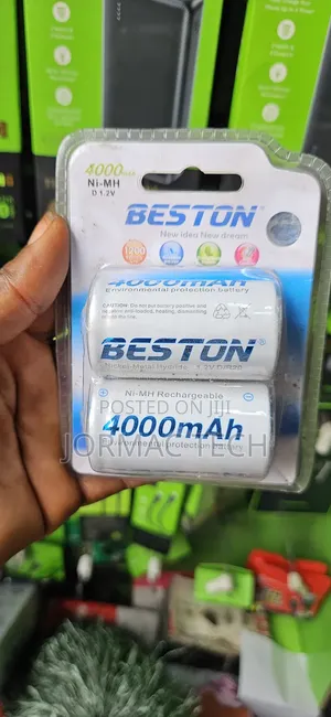 R20 D SIZE Ni-Mh Beston Rechargeable Batteries