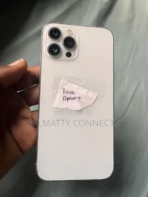 Apple iPhone 12 Pro Max 256 GB White