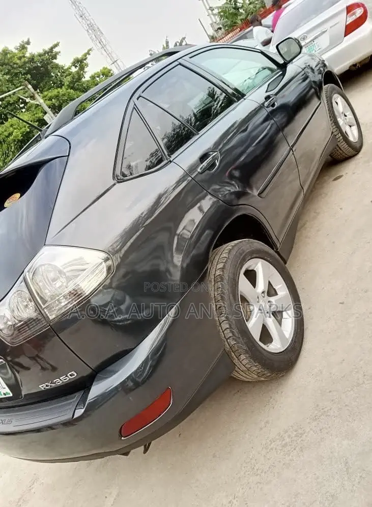 Lexus RX 2007 Gray