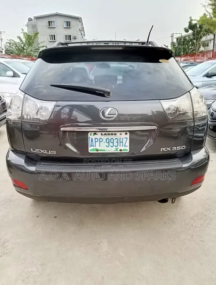 Lexus RX 2007 Gray