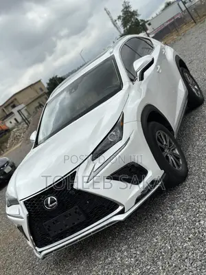 Lexus NX 2020 White
