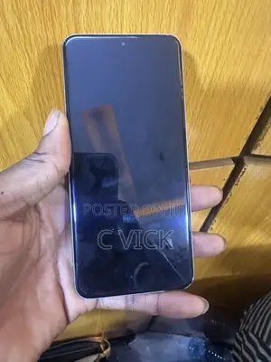 Xiaomi 15 Pro 512 GB Silver