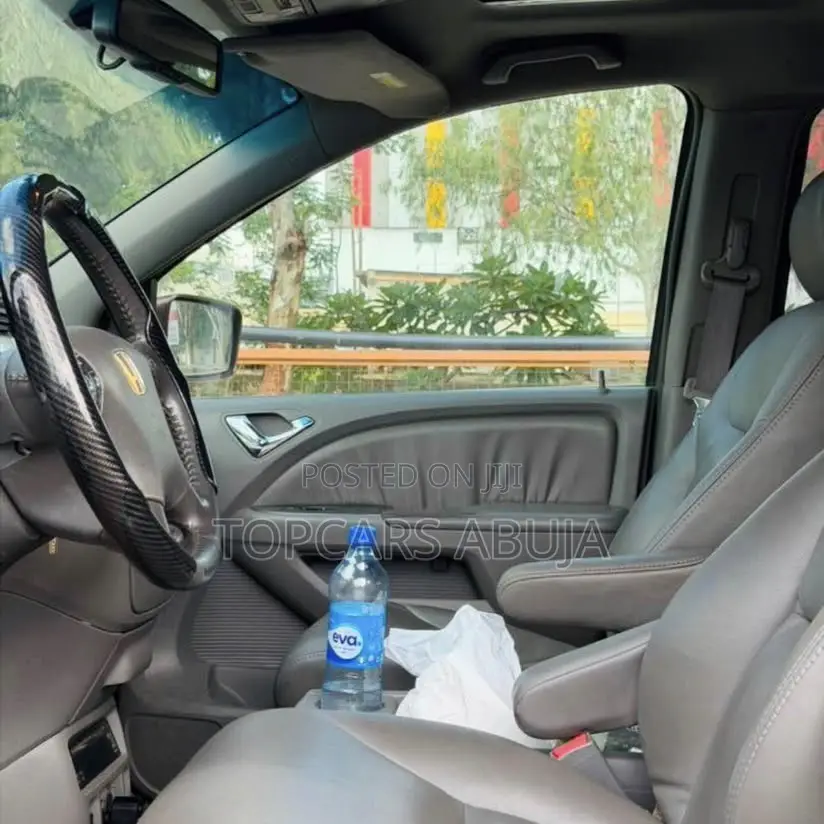 Honda Odyssey 2010 Brown