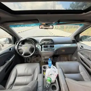 Honda Odyssey 2010 Brown