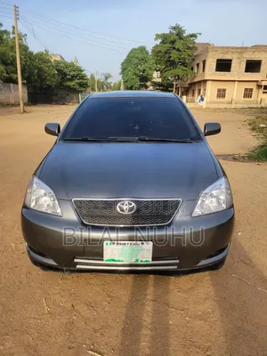 Toyota Corolla 2004 Gray