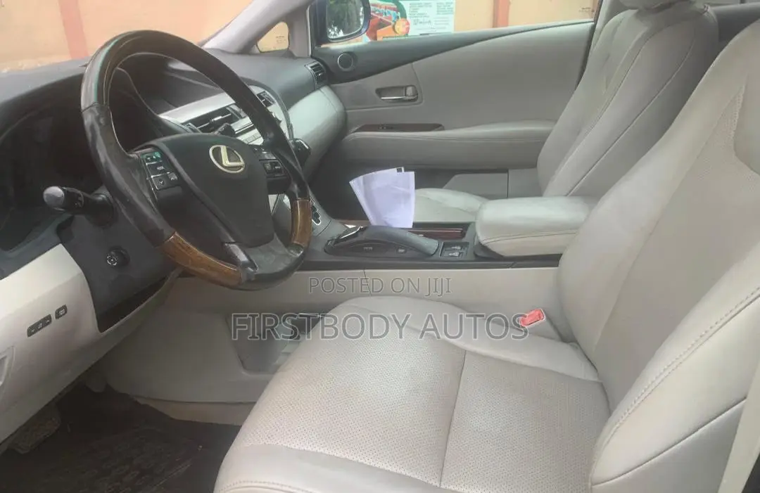 Lexus RX 2010 Blue