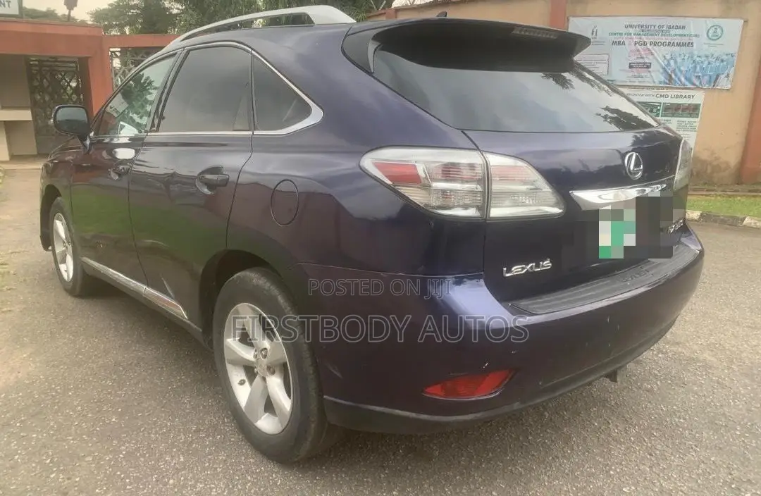 Lexus RX 2010 Blue