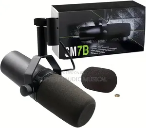 Shure Studio Microphone