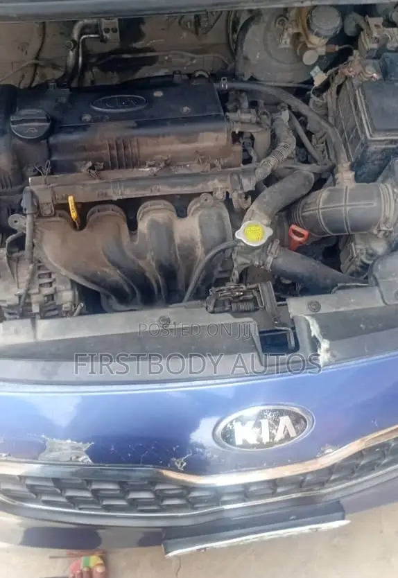 Kia Rio 2013 Blue