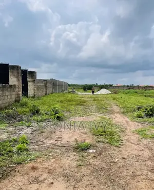 Asaba Cash Flow Gardens