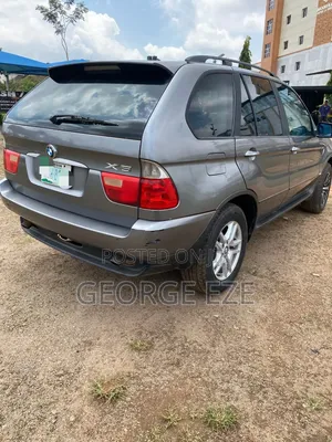 BMW X5 2004 Gray