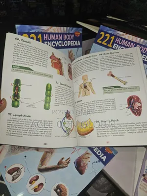 221 Human Body Encyclopedia Textbook