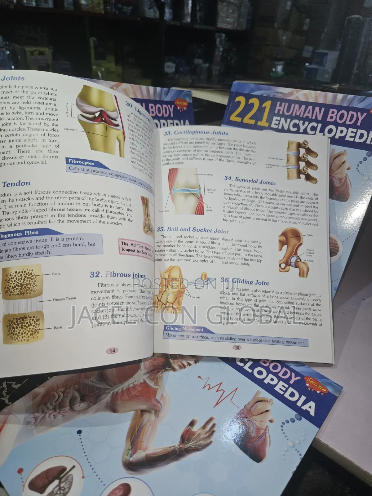 221 Human Body Encyclopedia Textbook