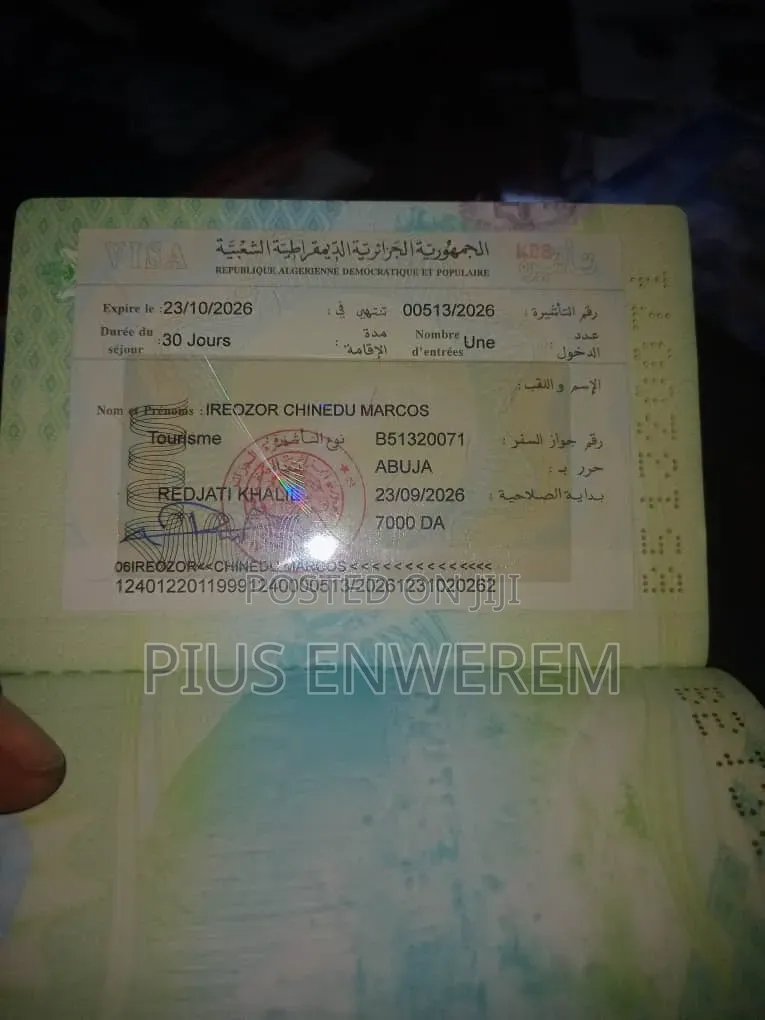 Algeria Visa (100%)