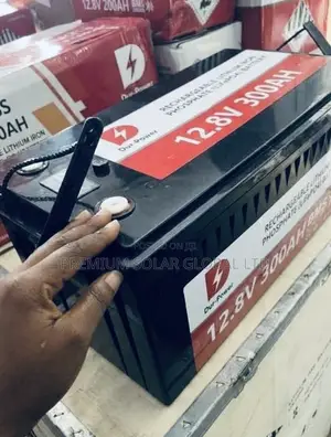 3.8kwh 300ah 12v Dur-Power Lithium Battery