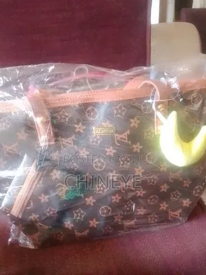 Ladies Fashion Handbag