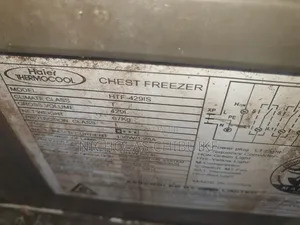 Inverter Thermocool Deep Freezer Double Door