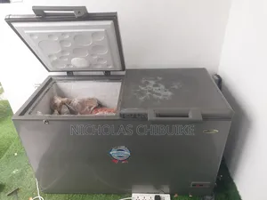Inverter Thermocool Deep Freezer Double Door