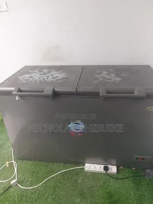 Inverter Thermocool Deep Freezer Double Door
