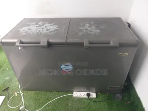 Inverter Thermocool Deep Freezer Double Door