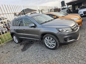 Volkswagen Tiguan 2014 Gray