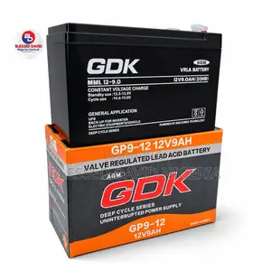 GDK 12V 9Ah Valve Regulated Lead Acid Battery