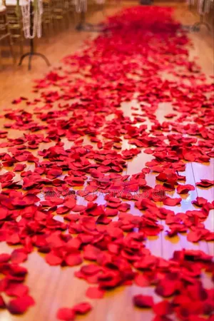 Rose Petals for Romantic Decoration
