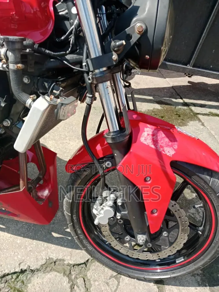 Kawasaki 2010 Red