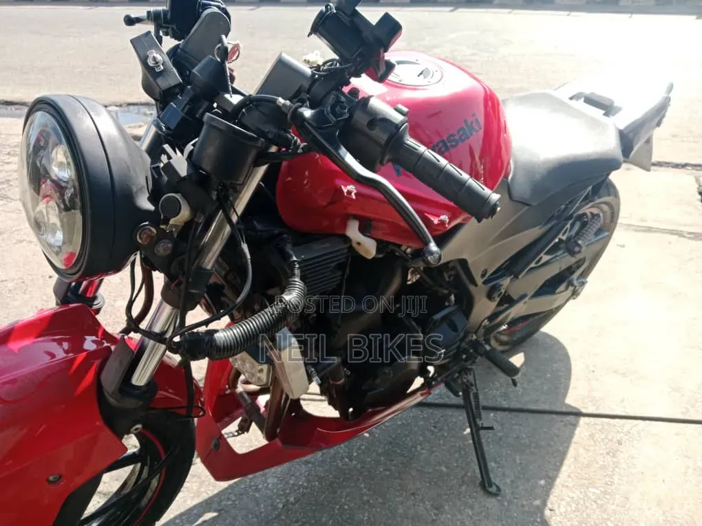 Kawasaki 2010 Red